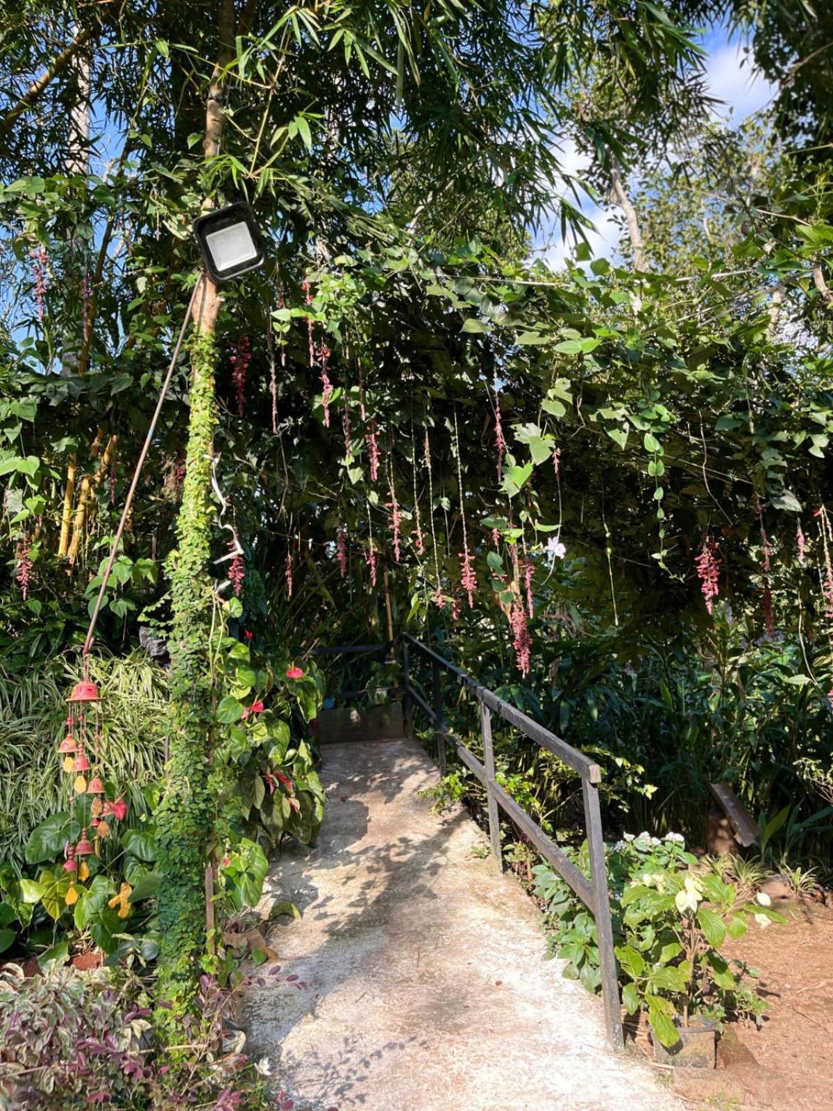 Lush Acres Villa Thekkady Exterior foto