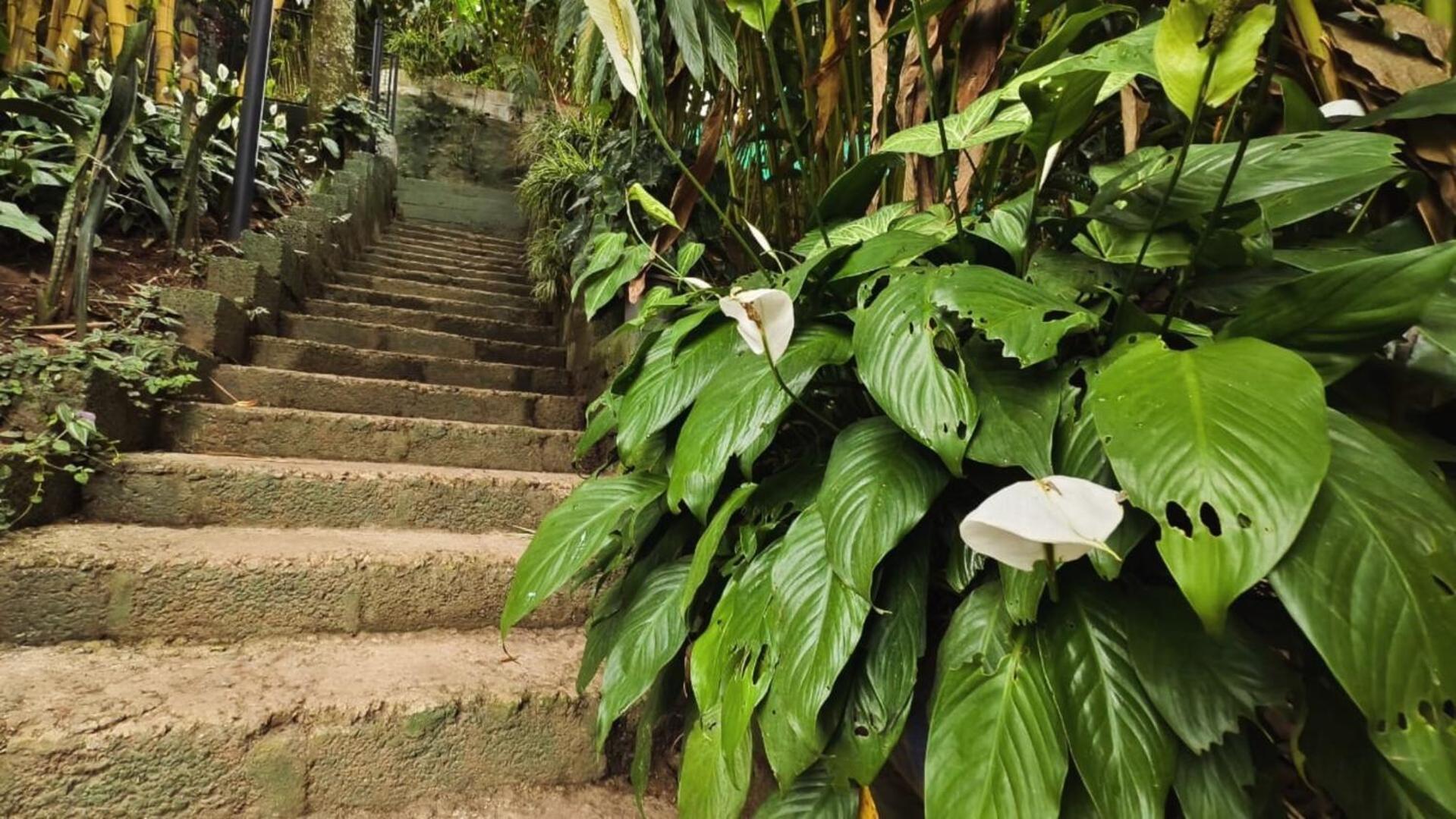 Lush Acres Villa Thekkady Exterior foto